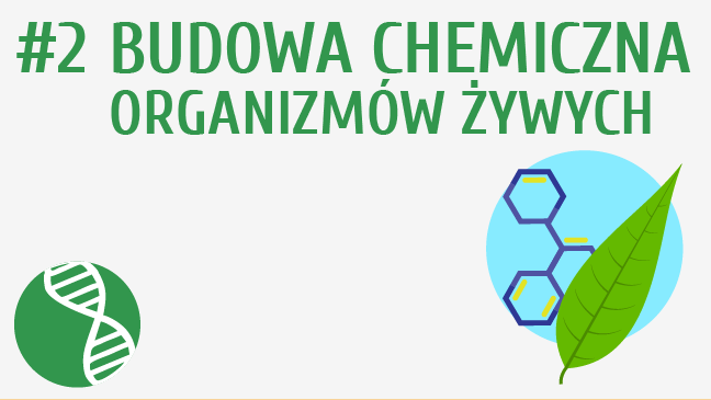 Budowa chemiczna organizmów żywych