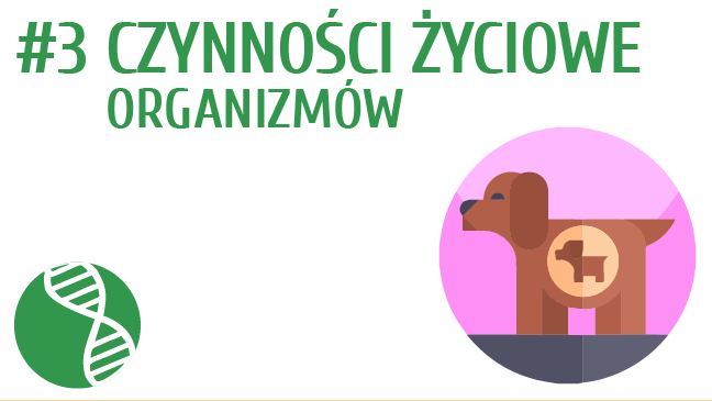 Czynności życiowe organizmów