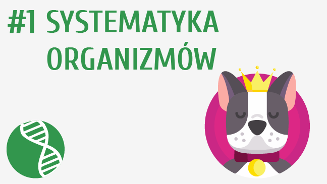 Systematyka organizmów