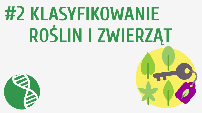 Klasyfikowanie roślin i zwierząt