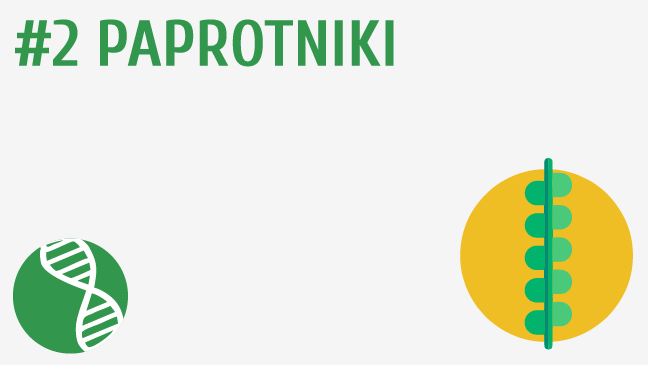 Paprotniki