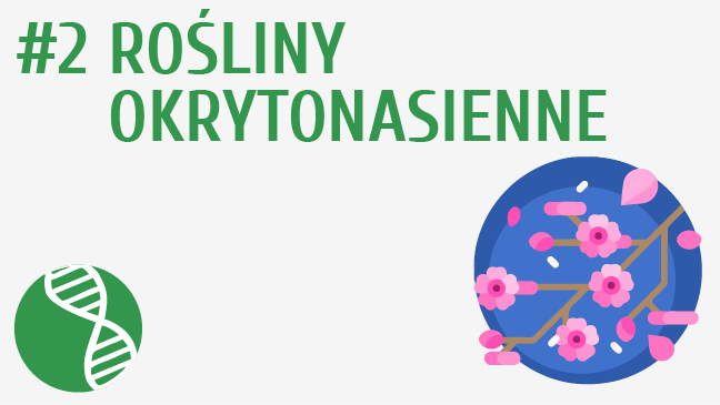 Rośliny okrytonasienne