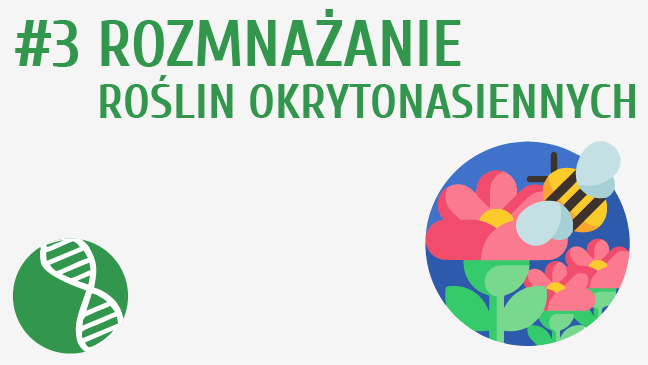 Rozmnażanie roślin okrytonasiennych