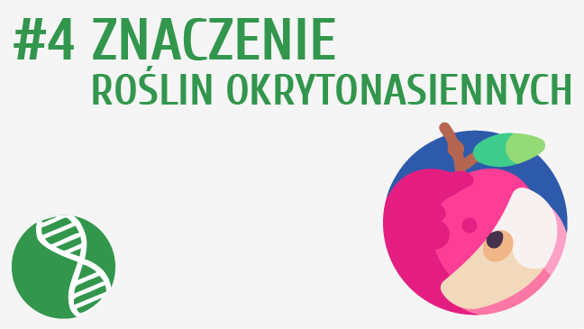 Znaczenie okrytonasiennych