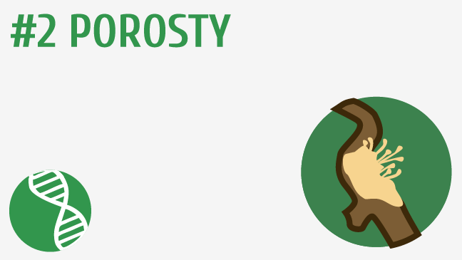 Porosty