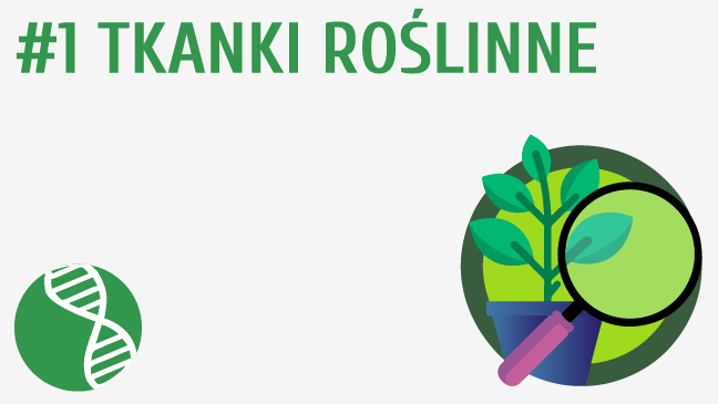 Tkanki roślinne