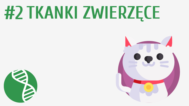 Tkanki zwierzęce