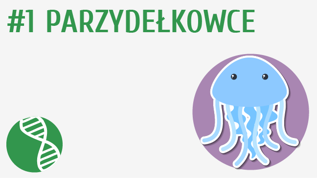 Parzydełkowce