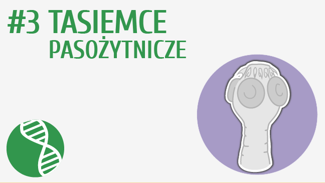 Tasiemce pasożytnicze