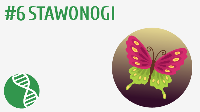 Stawonogi