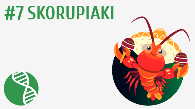 Skorupiaki