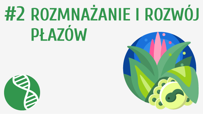 Rozmnażanie i rozwój płazów