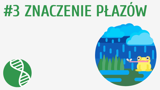 Znaczenie płazów