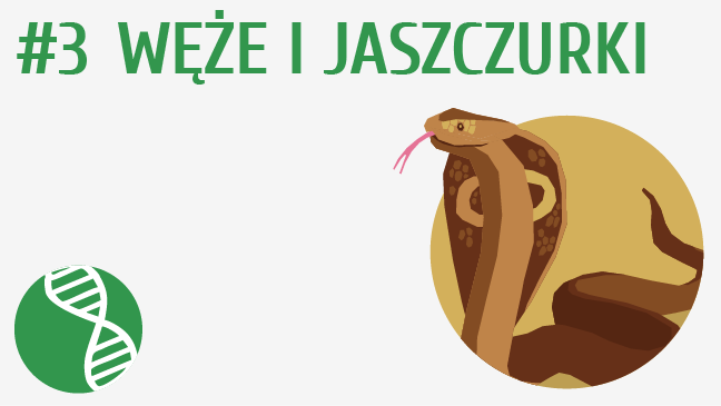 Węże i jaszczurki