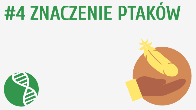 Znaczenie ptaków