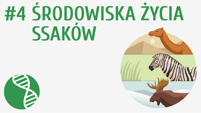 Środowiska życia ssaków