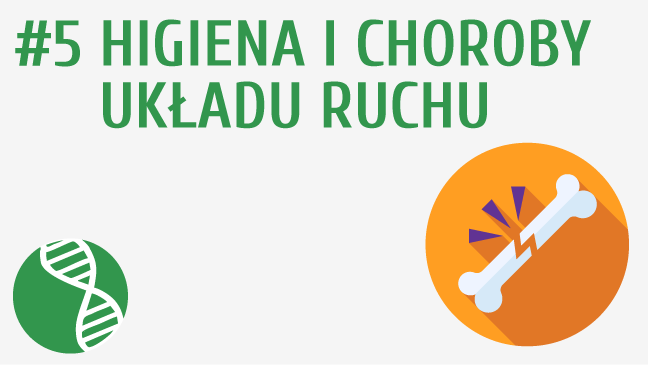 Higiena i choroby układu ruchu