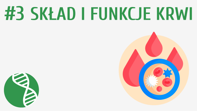 Skład i funkcje krwi