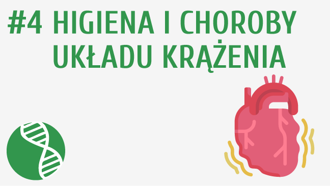 Higiena i choroby układu krążenia