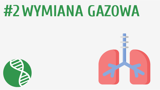 Wymiana gazowa