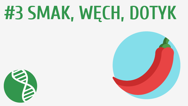 Smak, węch i dotyk