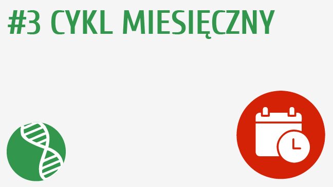 Cykl miesięczny