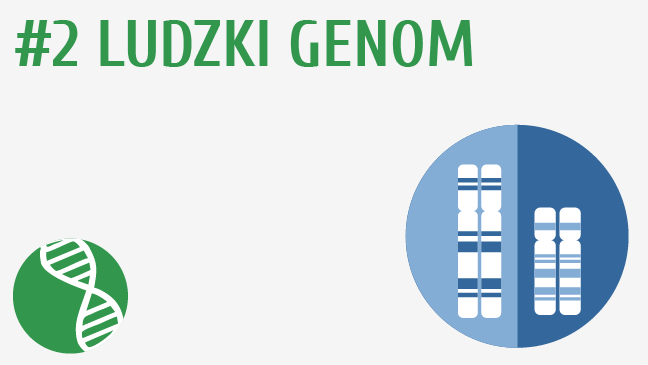 Ludzki genom