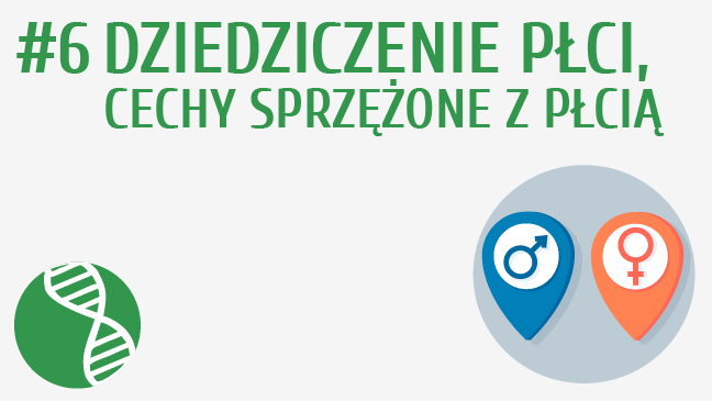 Dziedziczenie płci, cechy sprzężone z płcią