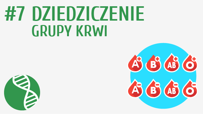 Dziedziczenie grup krwi