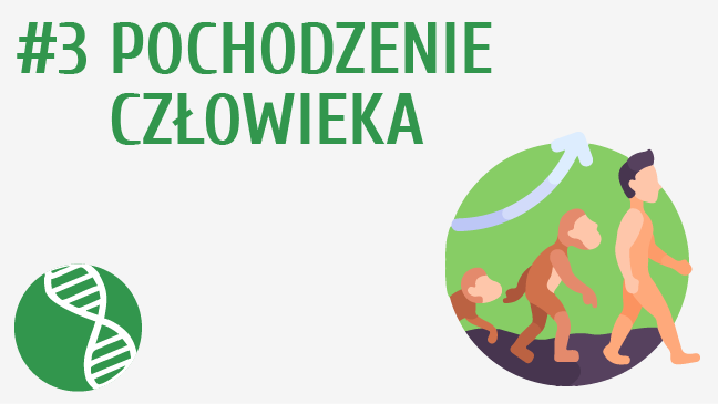 Pochodzenie człowieka