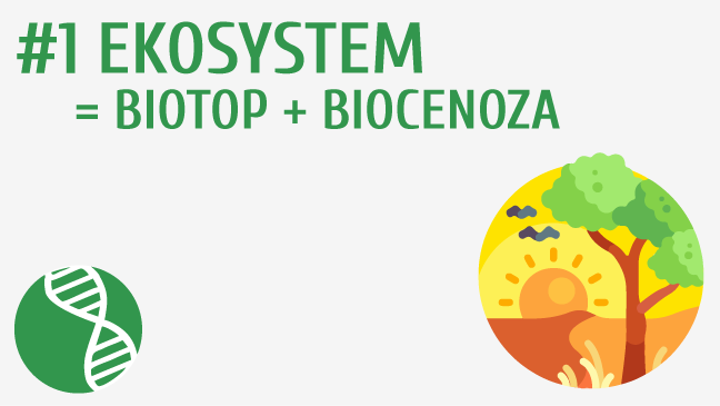 Ekosystem = biotop + biocenoza