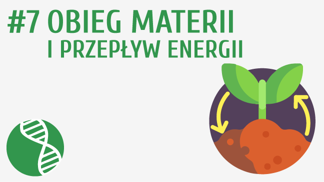 Obieg materii i przepływ energii