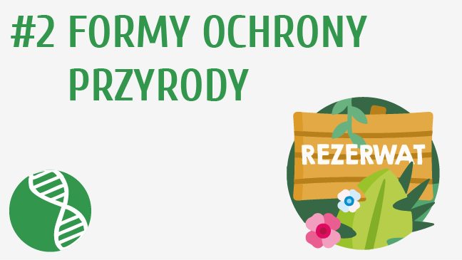 Formy ochrony przyrody