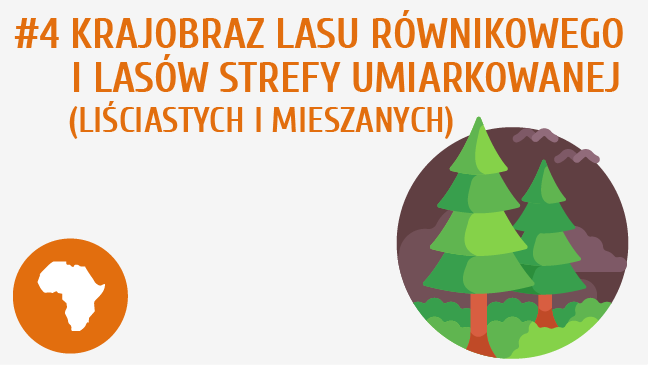 Krajobraz lasu równikowego i lasów strefy umiarkowanej (liściastych i mieszanych)