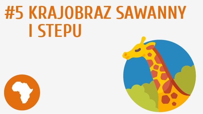 Krajobraz sawanny i stepu