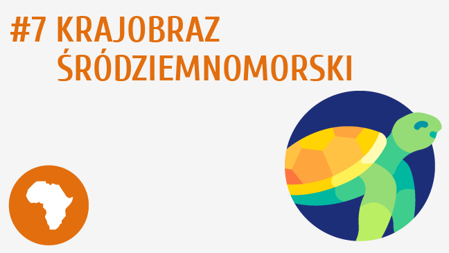 Krajobraz śródziemnomorski