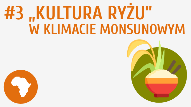 „Kultura ryżu” w klimacie monsunowym
