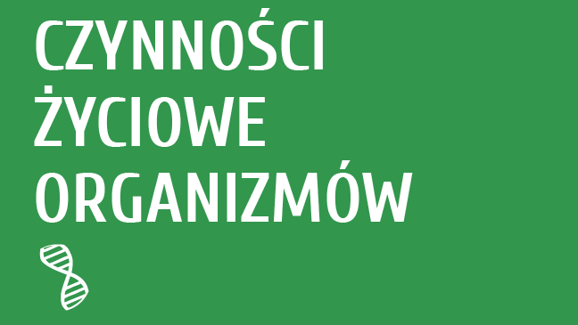 Czynności życiowe organizmów