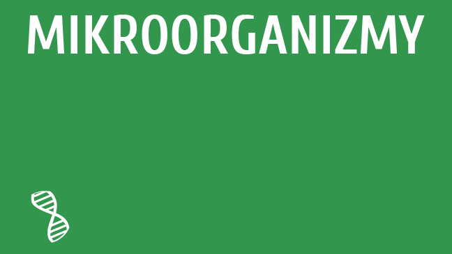 Mikroorganizmy