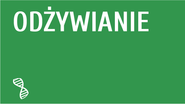 Odżywianie