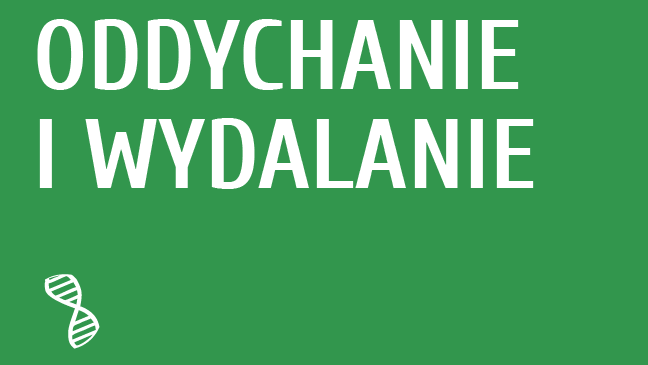 Oddychanie i wydalanie