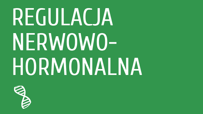 Regulacja nerwowo-hormonalna