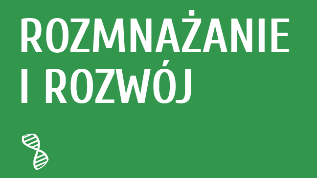 Rozmnażanie i rozwój